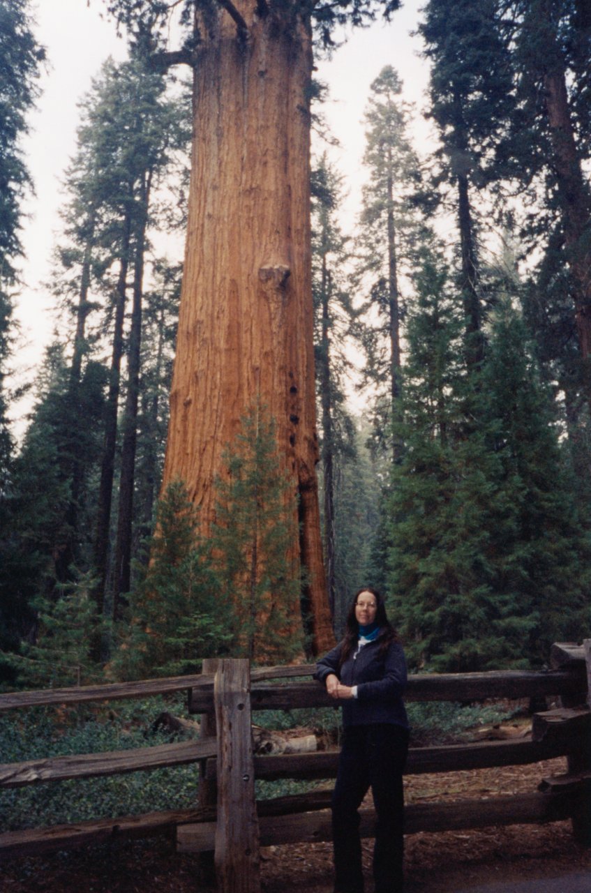 AMJD at Yosemite Dec 2002 4